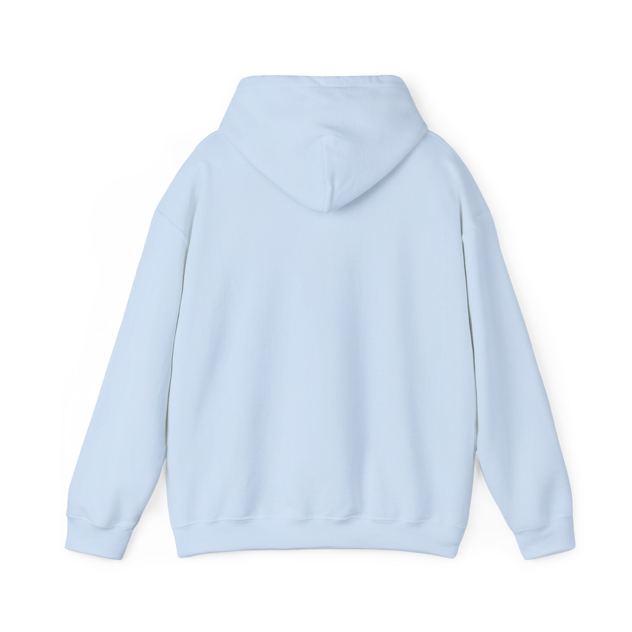 Unisex Blank Heavy Blend Hooded Sweatshirt