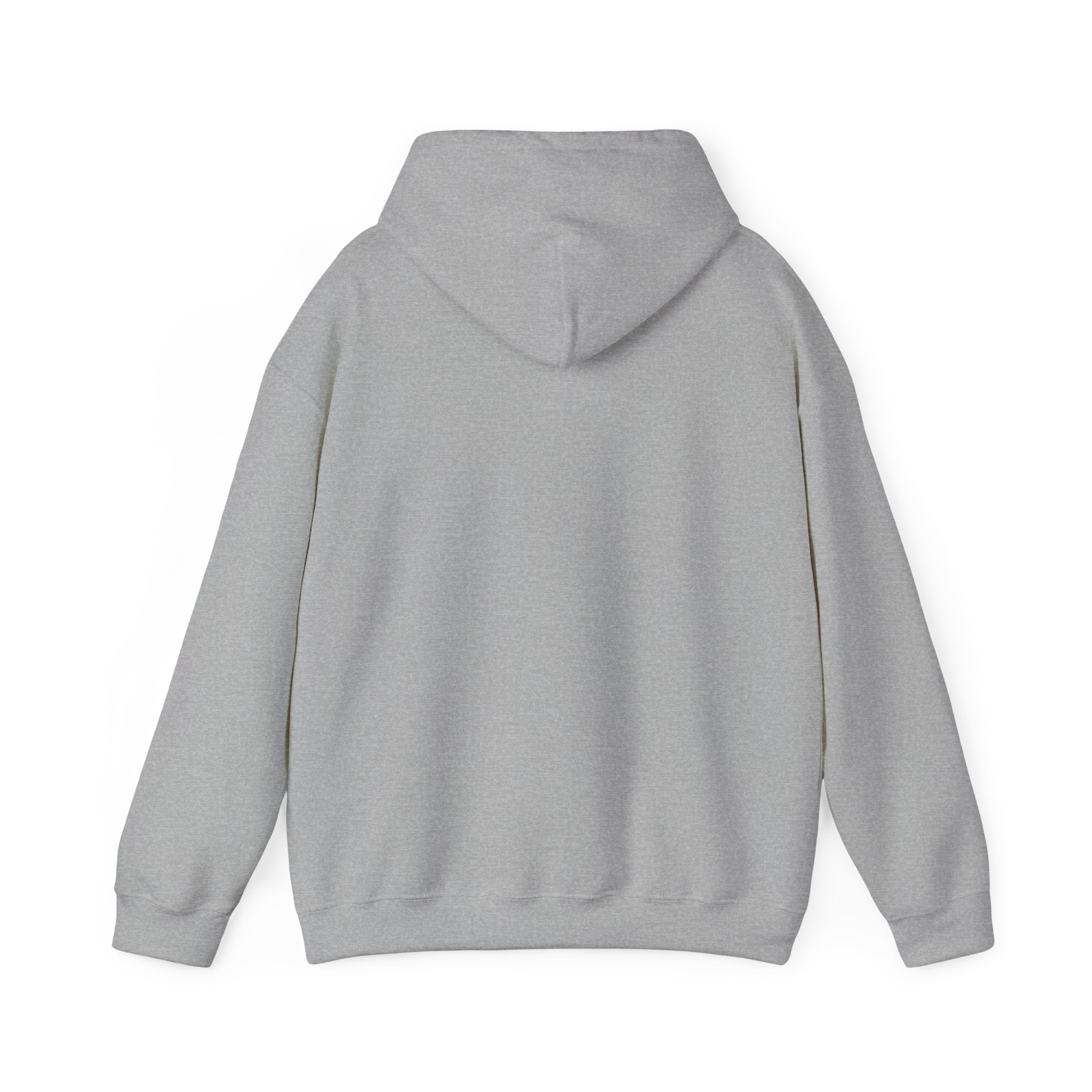 Unisex Blanks Heavy Blend Hooded Sweatshirt
