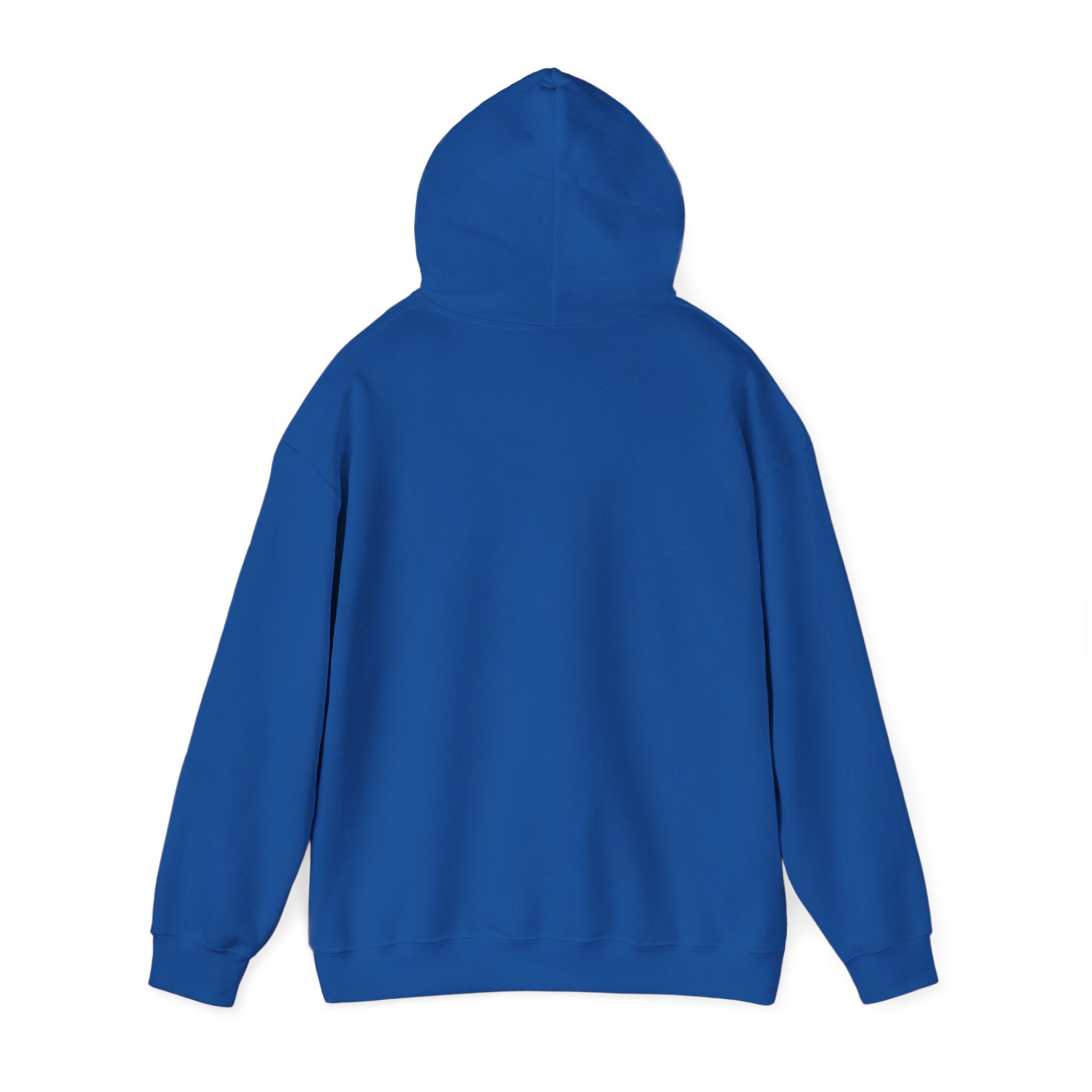 Unisex Blanks Heavy Blend Hooded Sweatshirt