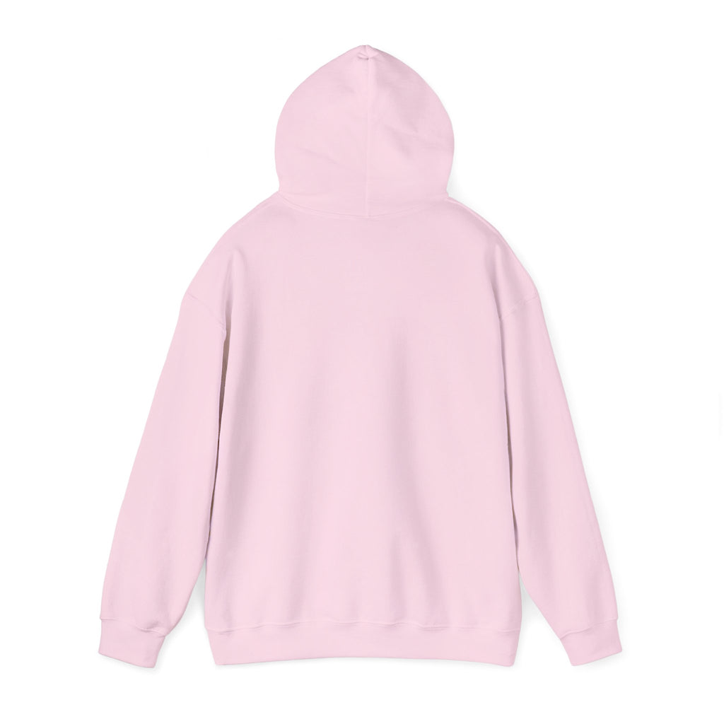Unisex Blanks Heavy Blend Hooded Sweatshirt