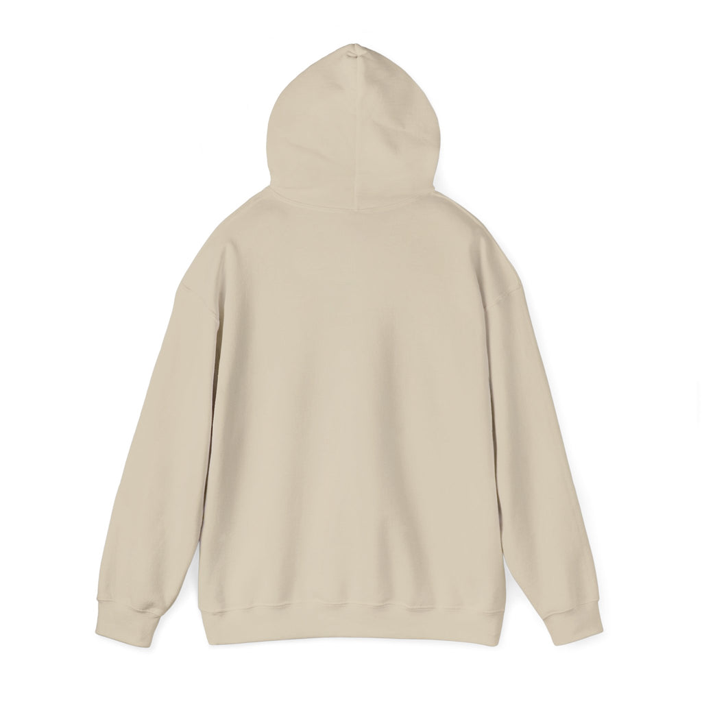 Unisex Blanks Heavy Blend Hooded Sweatshirt