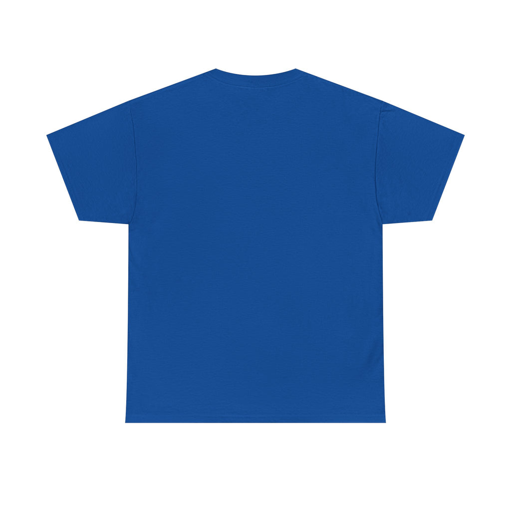 Unisex street wear Heavy Cotton Tee