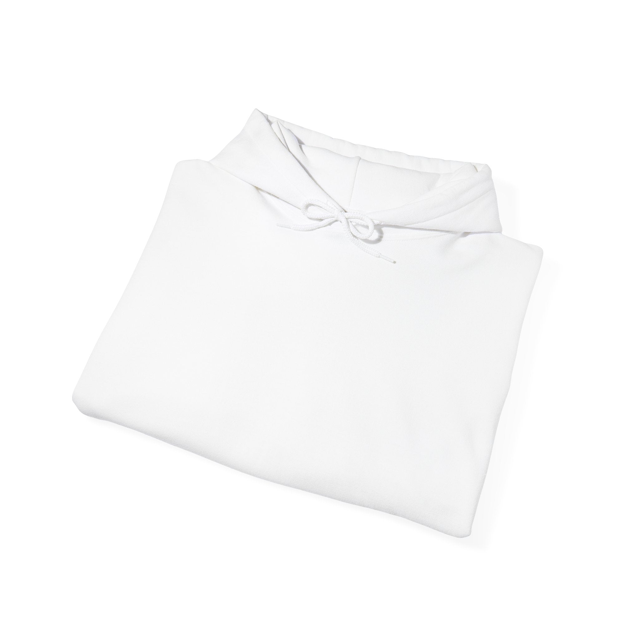 Unisex Blanks Heavy Blend Hooded Sweatshirt