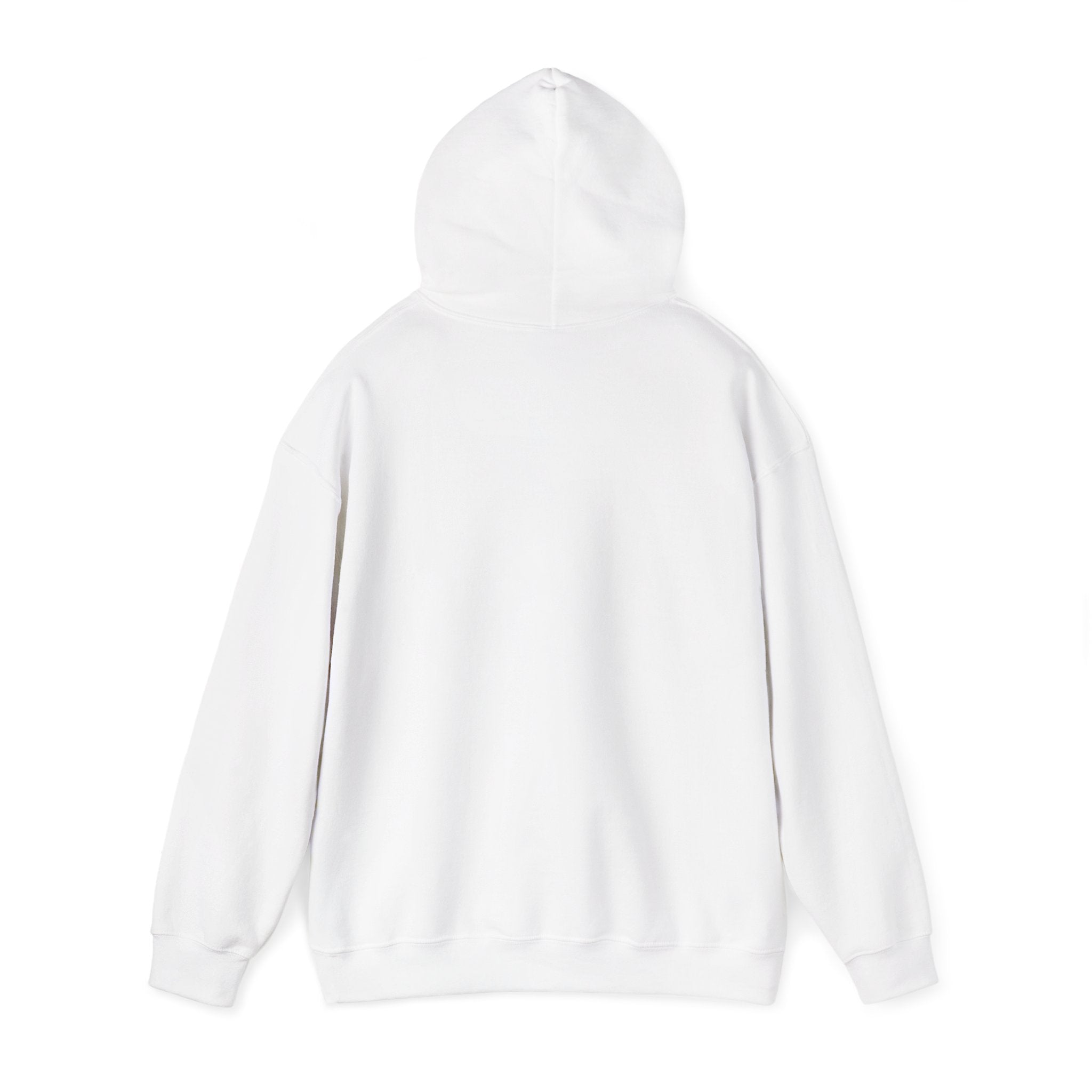 Unisex Blanks Heavy Blend Hooded Sweatshirt