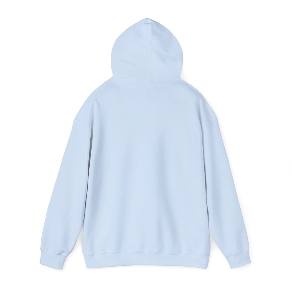 Unisex Blank Heavy Blend Hooded Sweatshirt