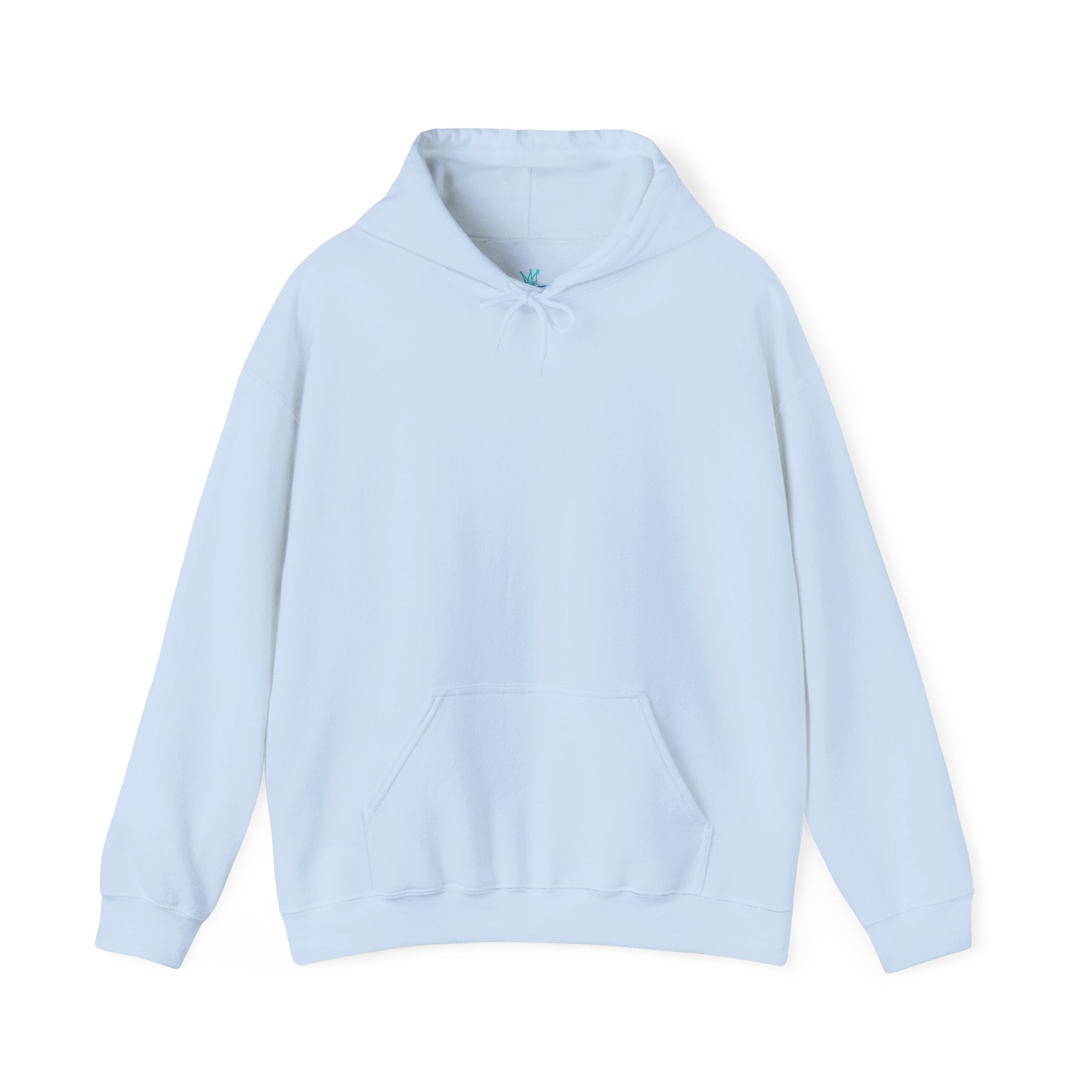 Unisex Blank Heavy Blend Hooded Sweatshirt
