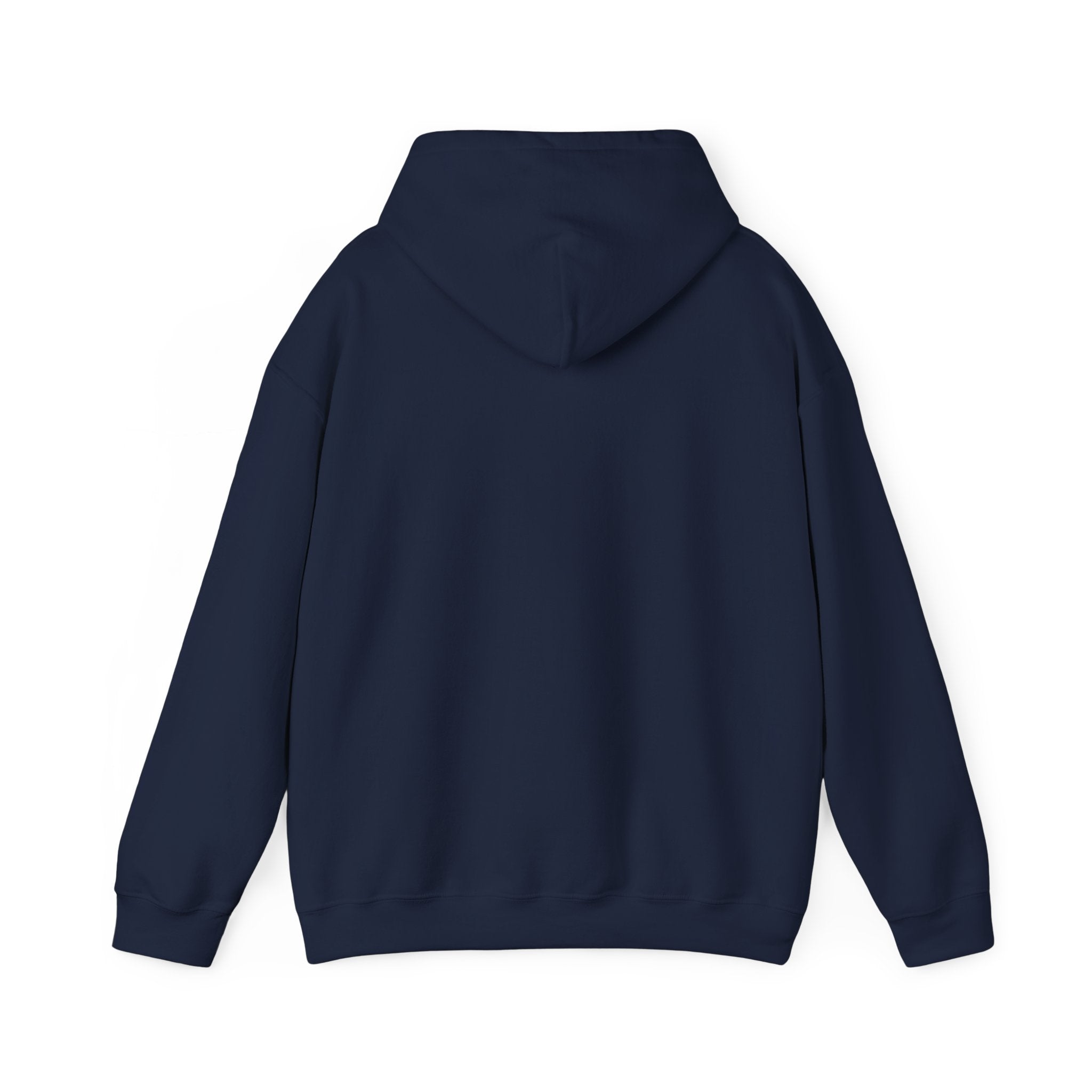 Unisex Blanks Heavy Blend Hooded Sweatshirt