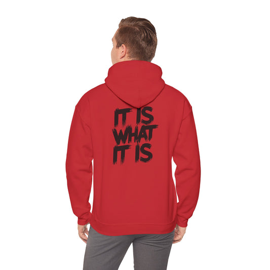 Unisex It is Hooded Sweatshirt