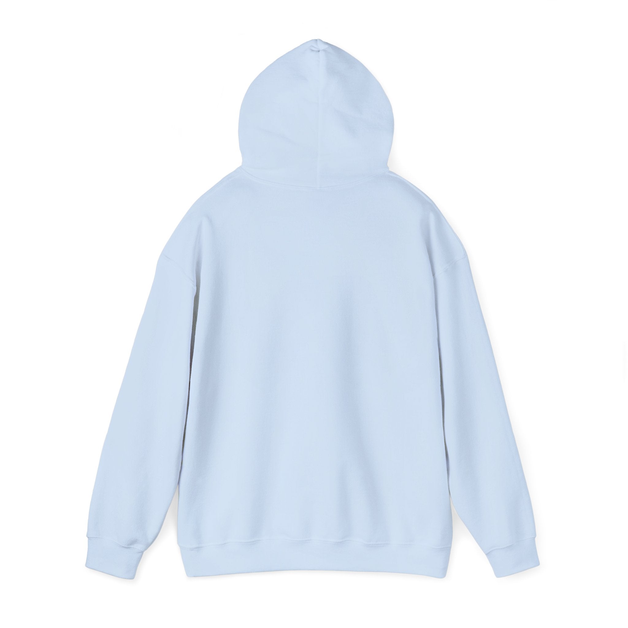 Unisex Blanks Heavy Blend Hooded Sweatshirt