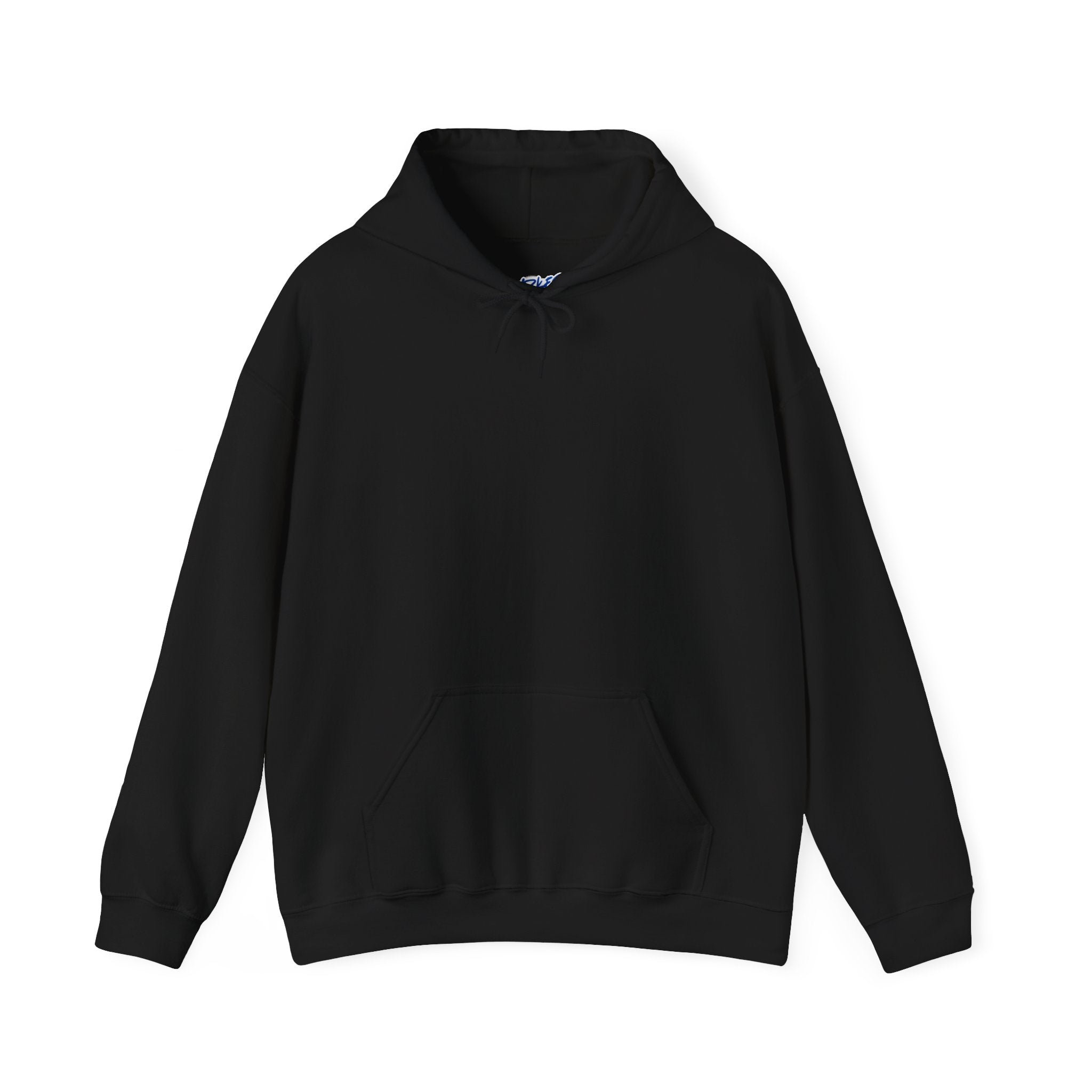 Unisex talking to myself Hooded Sweatshirt