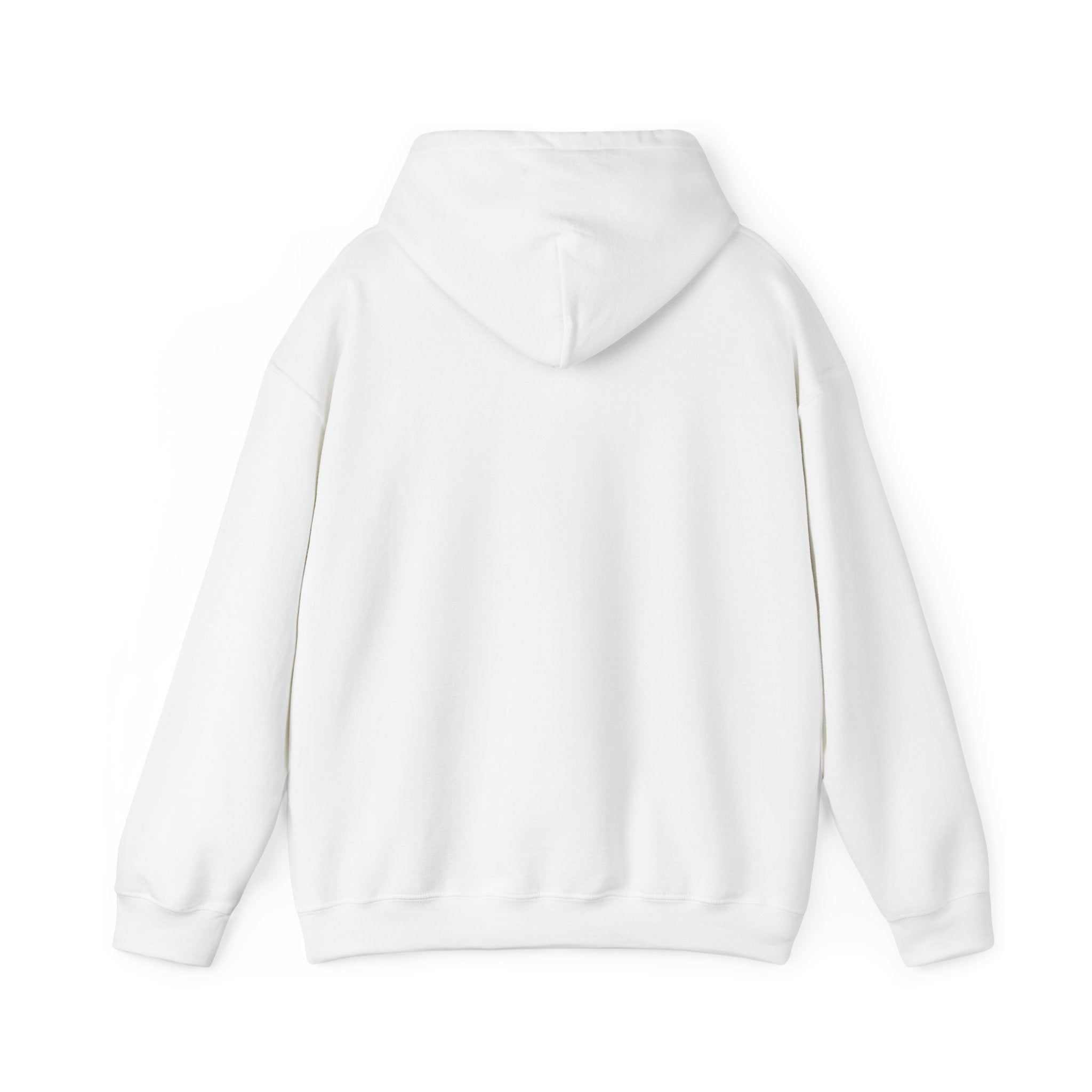 Unisex Blanks Heavy Blend Hooded Sweatshirt