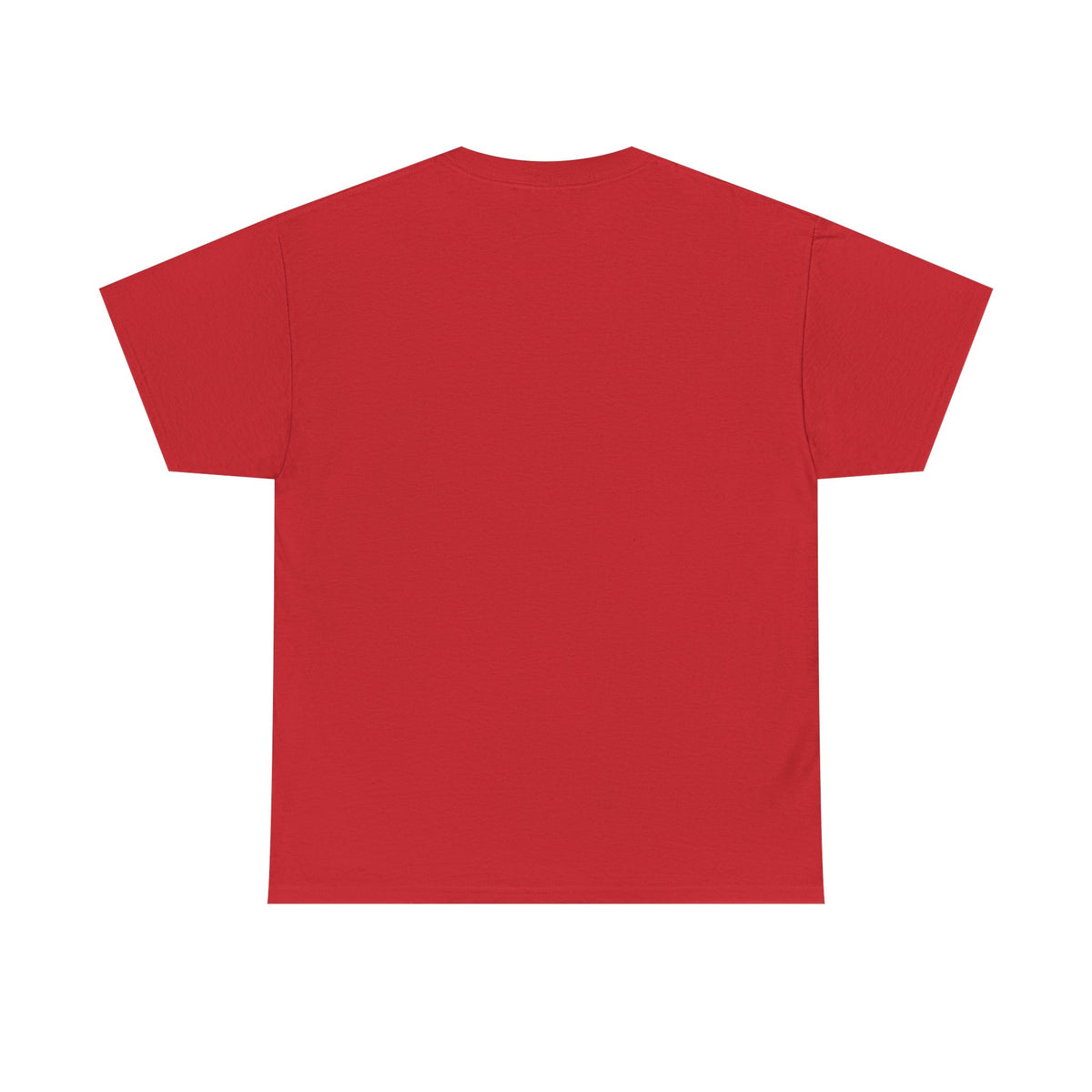 Unisex 404 Heavy Cotton Tee
